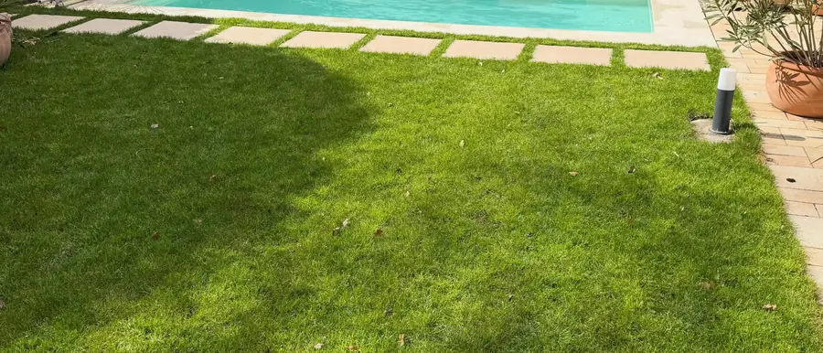 Gepflegte Rasenfläche mit Trittplatten entlang eines Pools