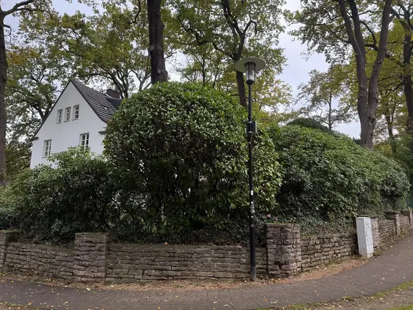 Grundstückszufahrt mit Natursteinmauer und geschnittenen Sträuchern