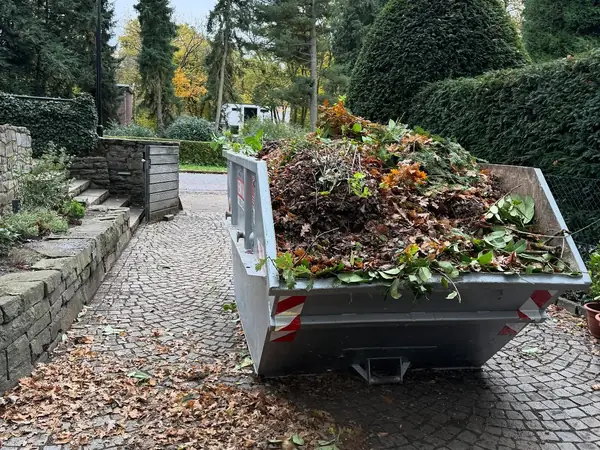 Container, gefüllt mit dem abzufahrenden Grünschnitt