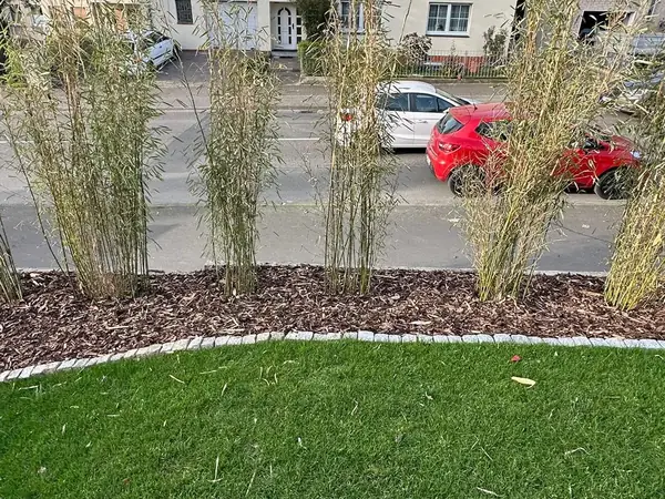 Vorgarten mit Rollrasen, Gräserbeet und Randsteinen